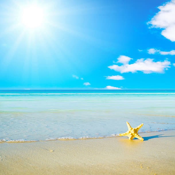 沙滩阳光白天蓝天海星