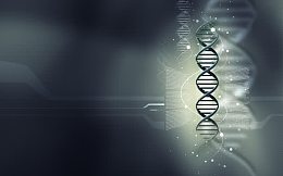 DNA分子细胞组合