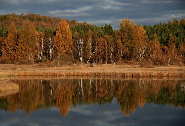 红色秋季树林小湖海报微
