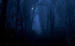 夜晚安静恐怖诡异树林