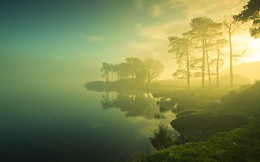模糊湖边树林倒影黄昏