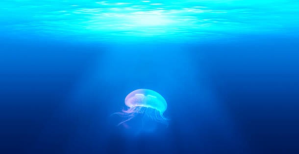 深蓝海底可爱水母