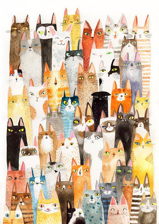 手绘各种猫头壁纸