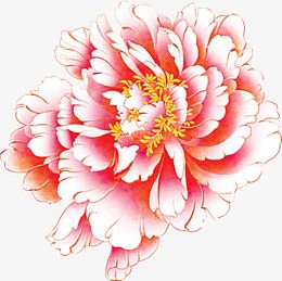 粉白色手绘牡丹花国庆