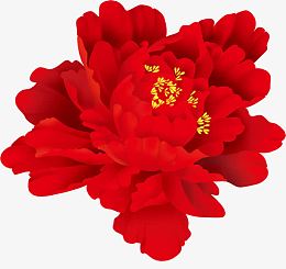 大红牡丹花高清素材