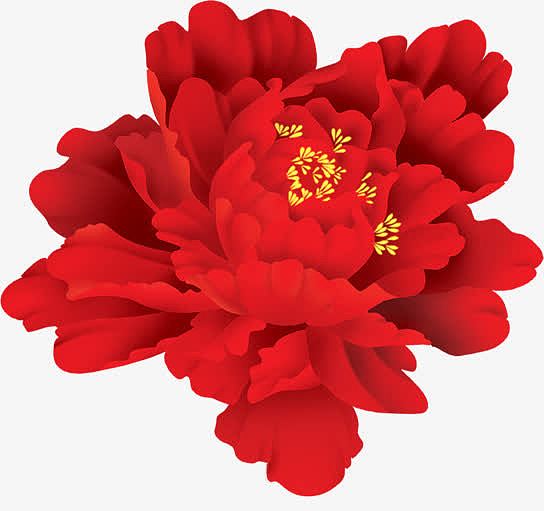 手绘红色花朵国庆