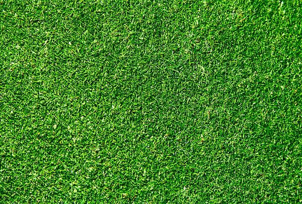 绿色草地纹理贴图元素