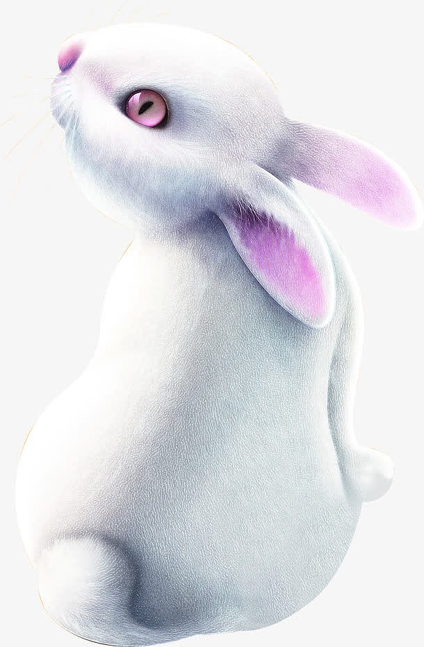 手绘白色小兔子海报