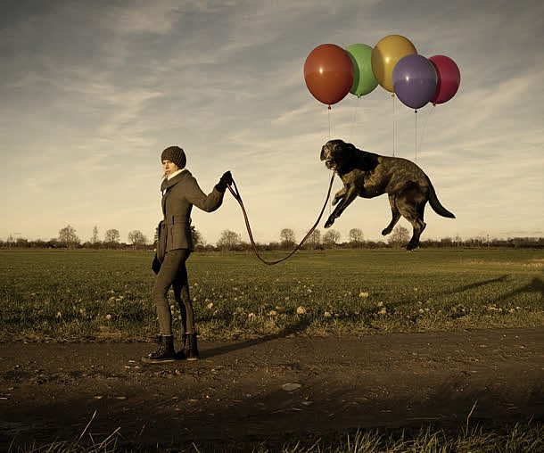 懒狗黑色宠物气球人物遛狗