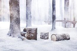 树木枯枝雪景冬天的气息