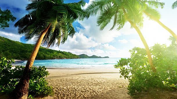 椰树海洋沙滩度假
