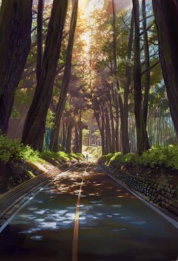 茂密树林一米阳光海报背景