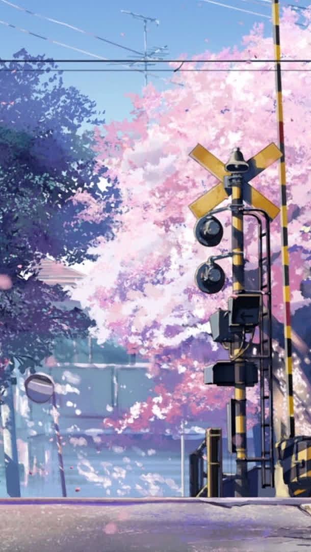 日本动漫樱花彩绘室外场景