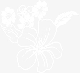 透明白色花朵美容院招聘素材