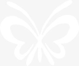 透明白色蝴蝶美容院招聘素材