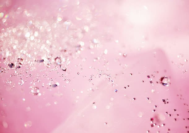 粉色花瓣上的水珠海报