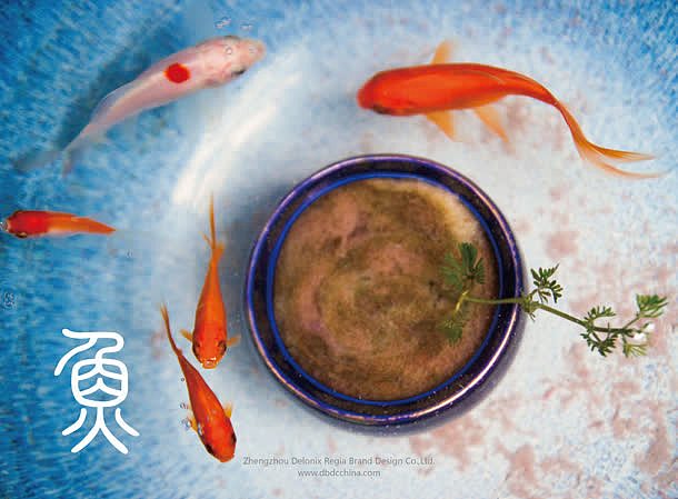 红鱼锦里跳跃盆栽