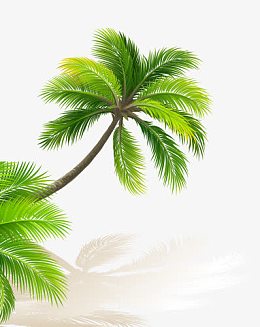 绿色椰子树宝贝背景