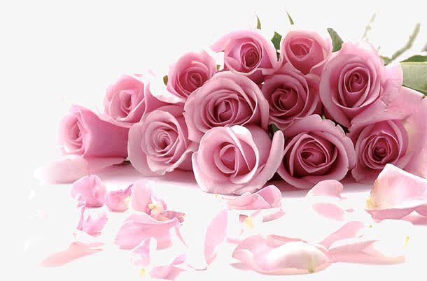 粉色玫瑰花束促销