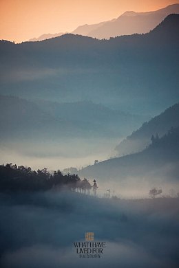 采菊东篱下悠然见南山