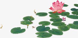 水墨画绿色荷叶荷花池团队