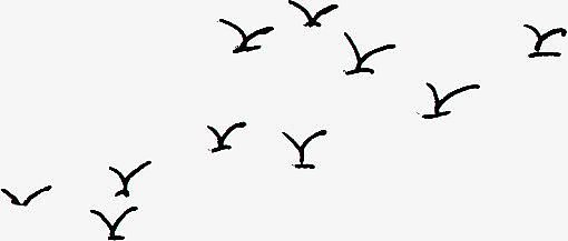 手绘简单线条海鸥