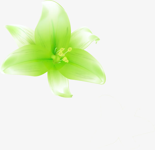清晰绿色百合花卉名片图片