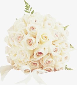白色玫瑰花捧婚礼素材