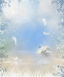 梦幻天鹅湖婚纱摄影模板