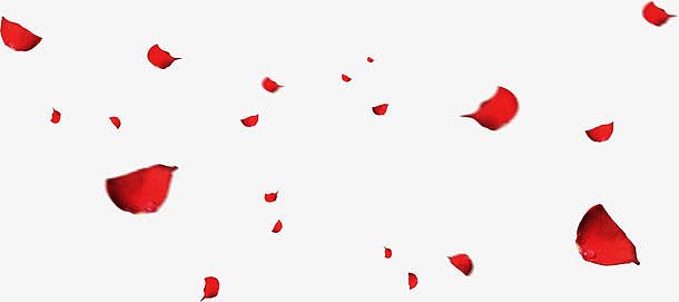 红色漂浮婚礼玫瑰花