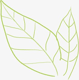 高清创意绿色树叶简笔画