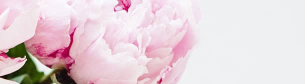 粉色温馨唯美花朵