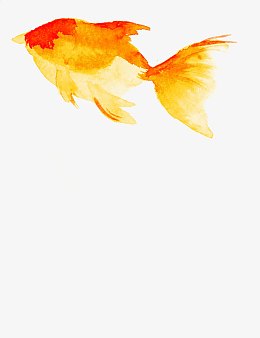 金鱼插画风景图片