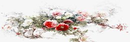 淡雅花卉之宁静致远素材