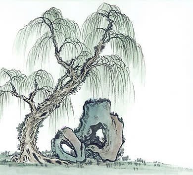 节日柳树手绘树木专题
