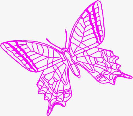 手绘粉色线条蝴蝶