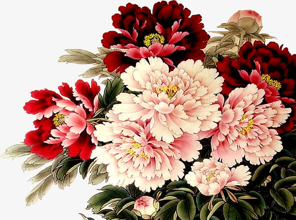 手绘富贵牡丹水墨画