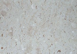 斑点纹理岩石背景