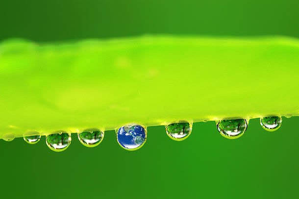 绿叶上的水珠地球