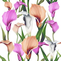 马蹄莲花朵背景