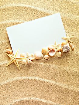 创意沙滩贝壳背景