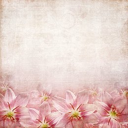 粉红色花朵背景