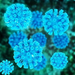 病毒微生物
