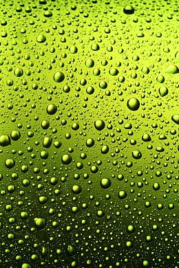绿色水珠背景