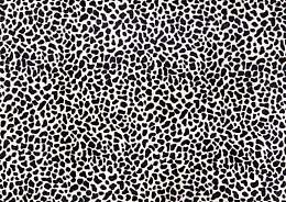 豹子皮毛背景