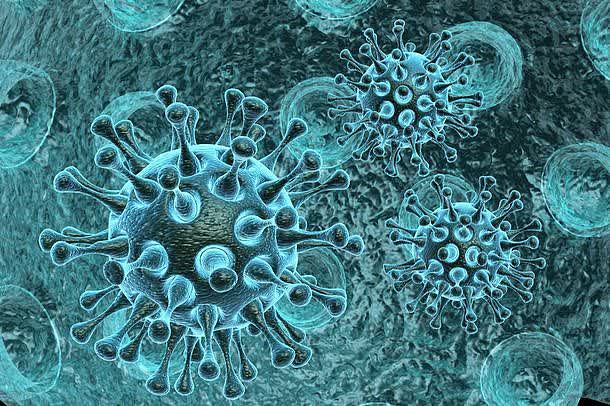 蓝色带刺病毒体细胞
