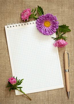 菊花圆珠笔与本子