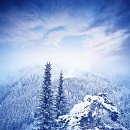 秋天森林雪景