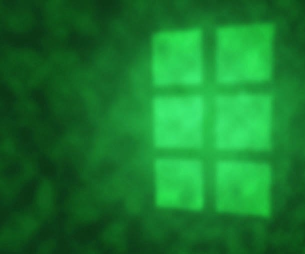 绿色窗户投影