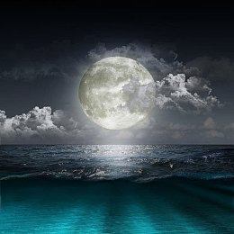 大海夜晚风景